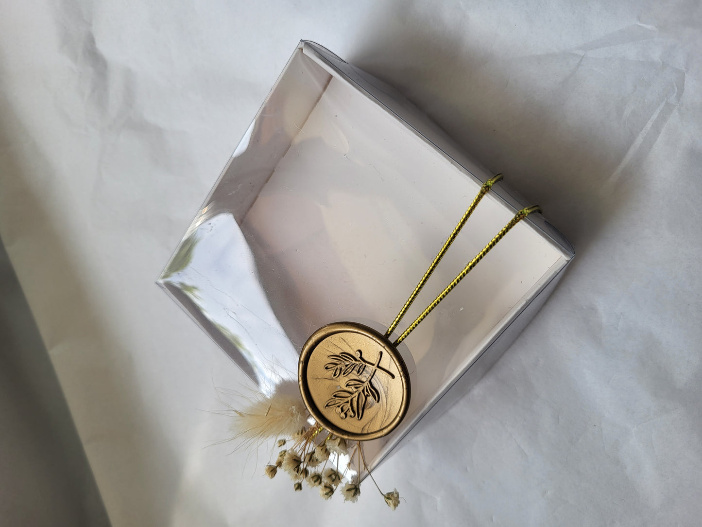 Boîte transparente Vide pour Magnets